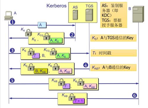 计算机网络体系结构 网络安全